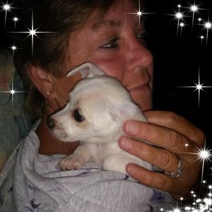 Meet your Posher, Jane